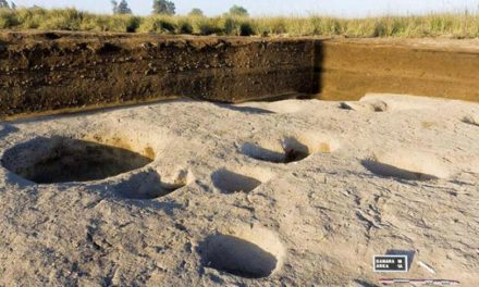 کشف روستایی متعلق به عصر حجر در دلتای نیل 