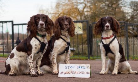 راهپیمایی سگ ها در لندن در اعتراض به برکسیت