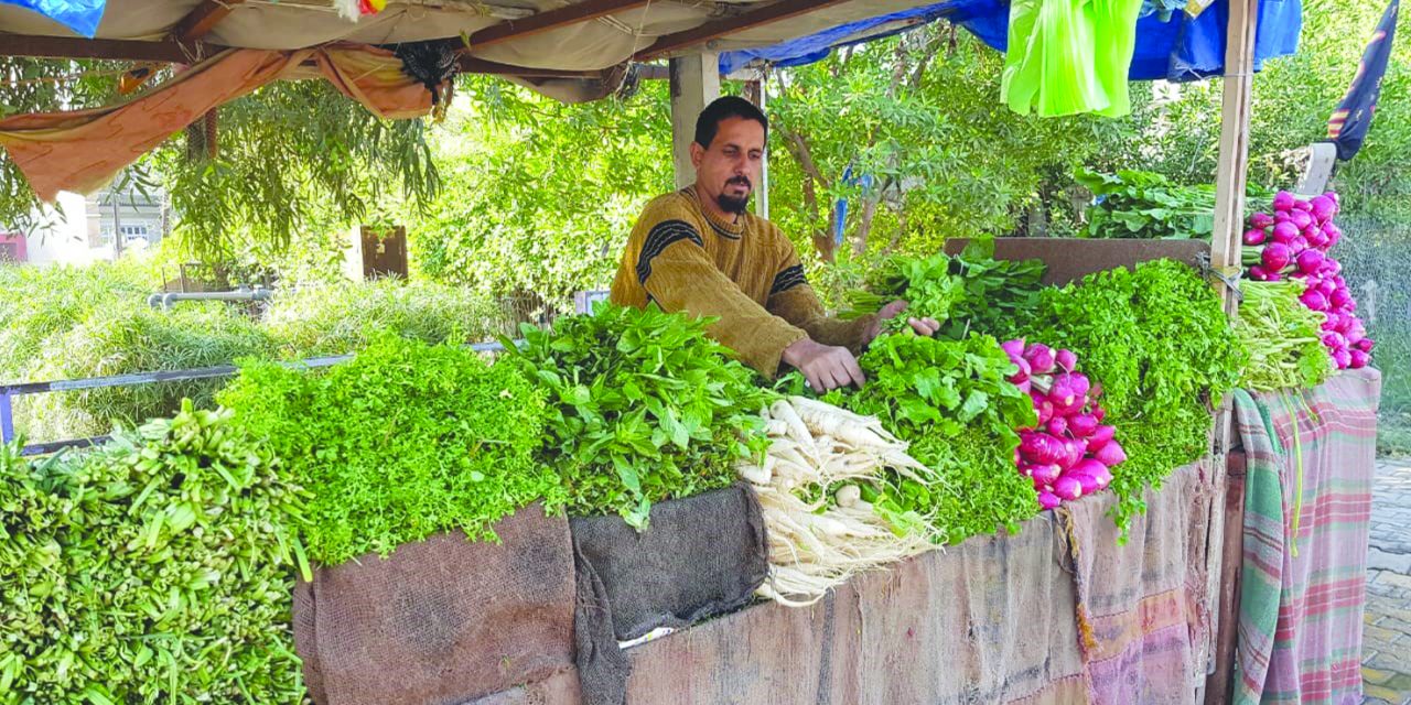بی‌خیالی فروشنده سبزیجات از عضویت در «الحشد الشعبی»