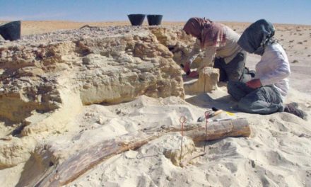 انسان‌های نخستین در «شبه جزیره عرب سرسبز» زندگی می‌کردند
