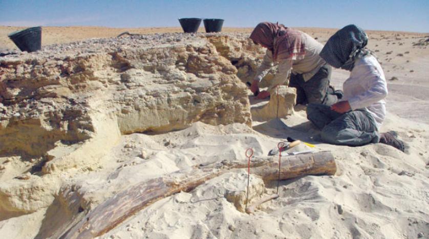 انسان‌های نخستین در «شبه جزیره عرب سرسبز» زندگی می‌کردند