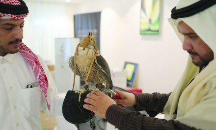 باشگاه شاهین های شکاری سعودی برای بزرگ ترین نمایشگاه آماده می شود